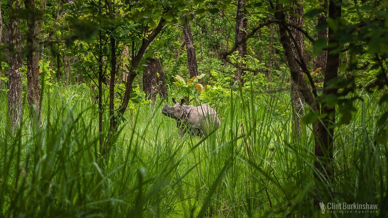 Earthlings photo 39