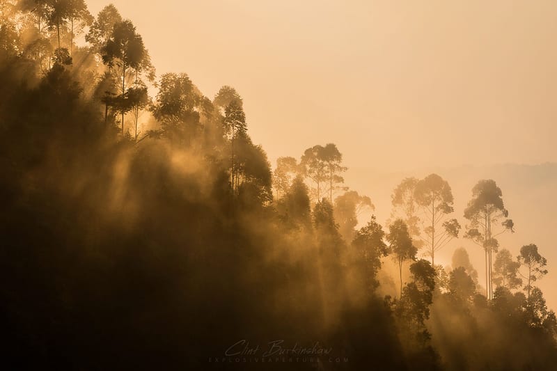Landscapes photo 145