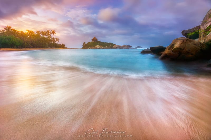 Artist's Picks photo 21
