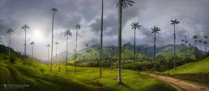 Landscapes photo 122