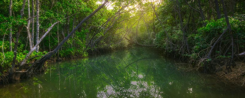 Landscapes photo 92