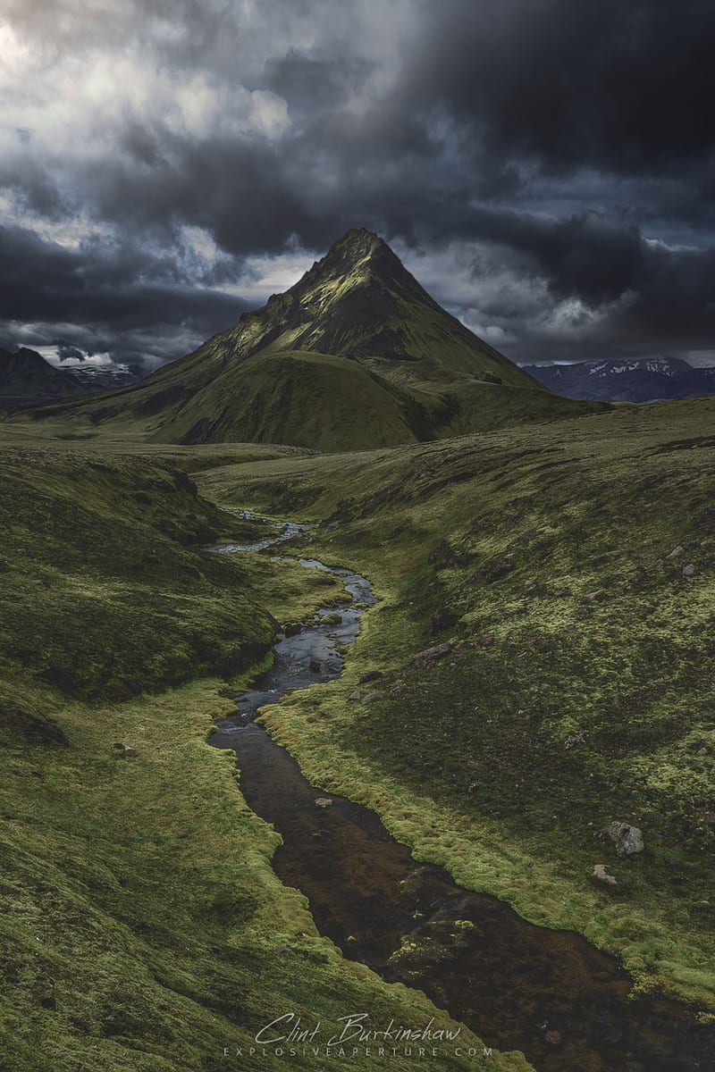 Artist's Picks photo 57