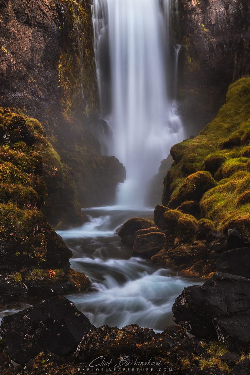 Artist's Picks photo 66