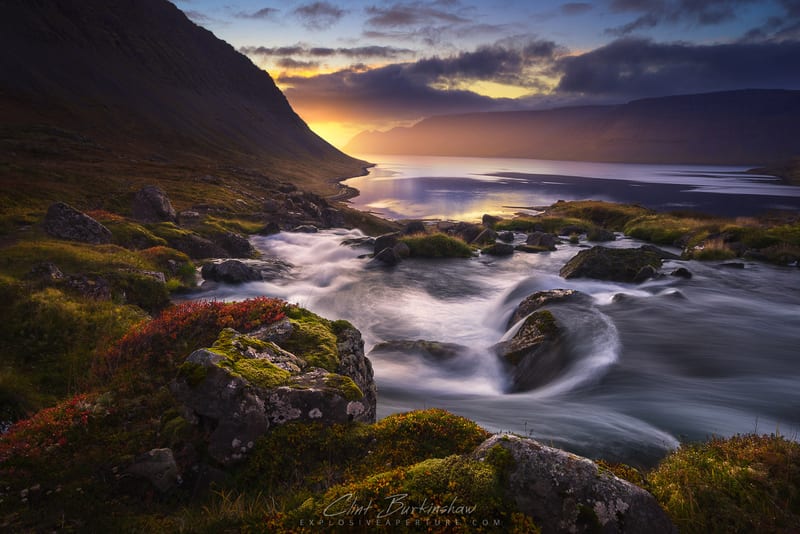Artist's Picks photo 67