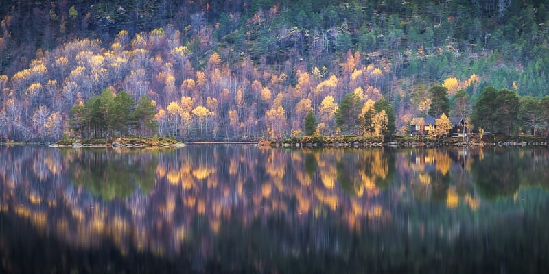 Landscapes photo 40