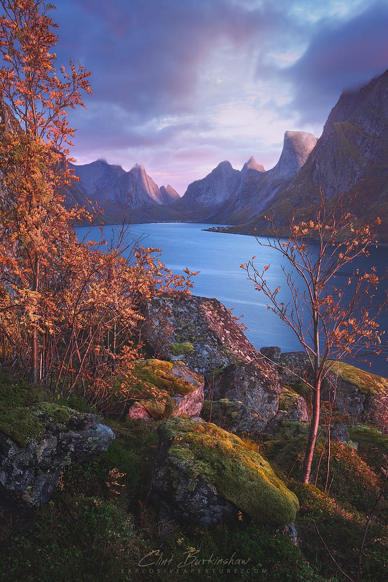 Artist's Picks photo 72